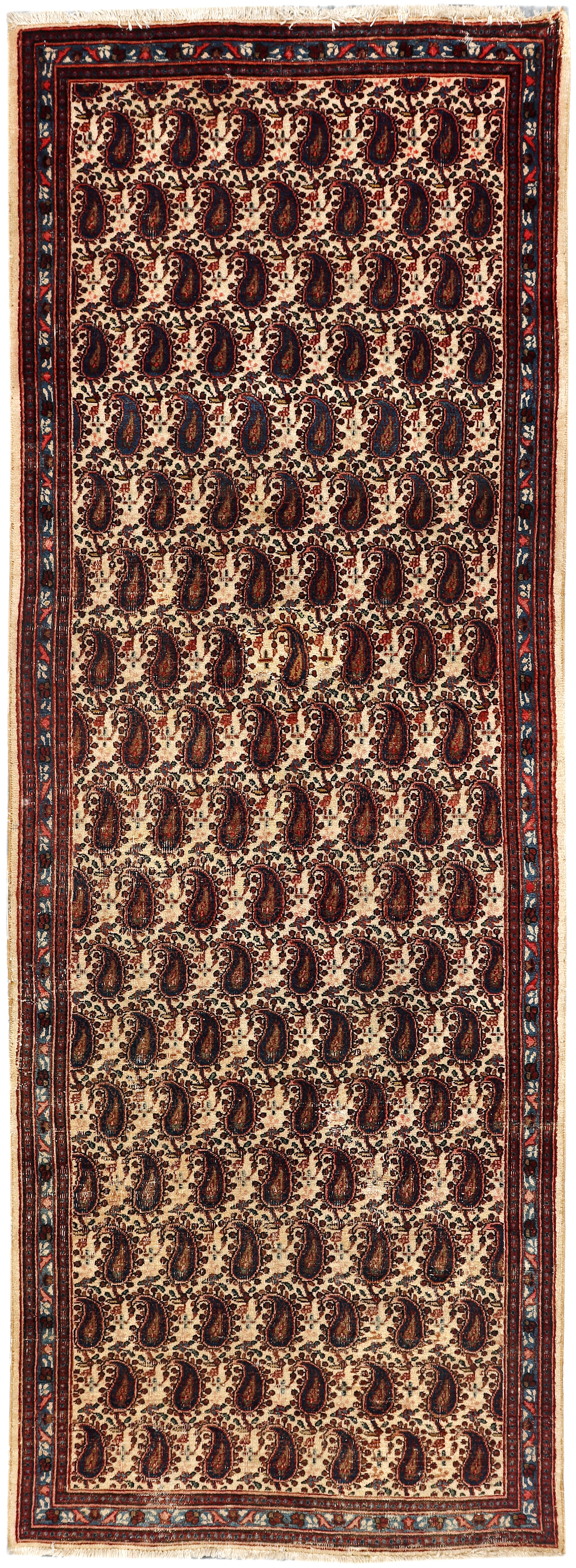 Pazley Bohtey Runner